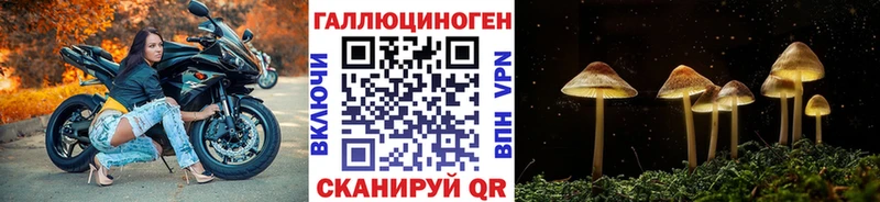 купить наркотик  Сортавала  Псилоцибиновые грибы Magic Shrooms 