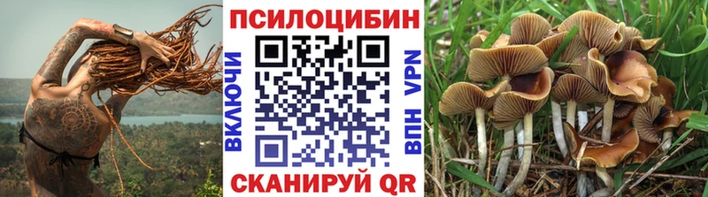 Галлюциногенные грибы мухоморы Сортавала